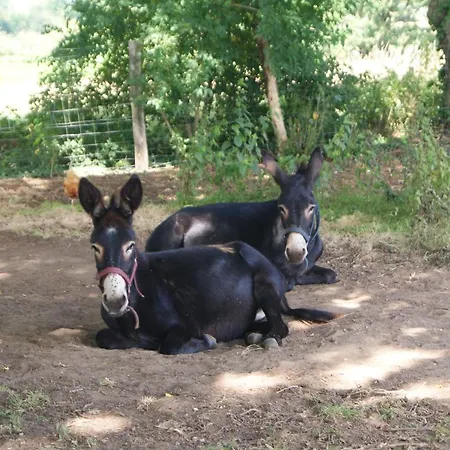 Maison Prés Du Circuit 24h Du Mans