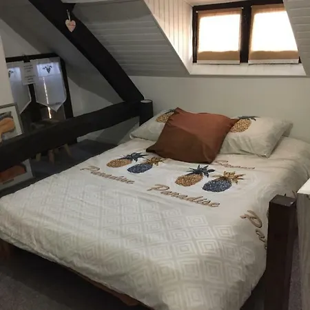 Maison Prés Du Circuit 24h Du Mans Arnage