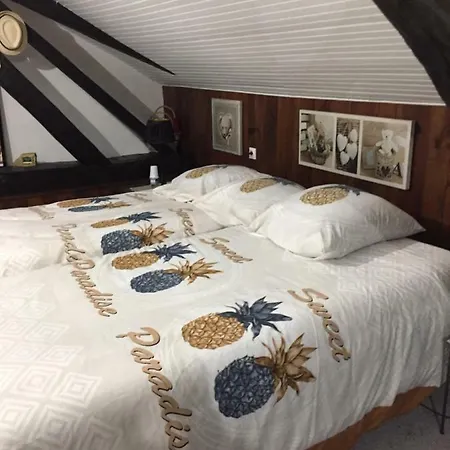 Maison Prés Du Circuit 24h Du Mans Casa vacanze *