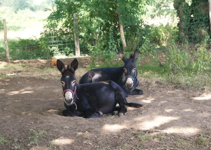 Maison Prés Du Circuit 24h Du Mans