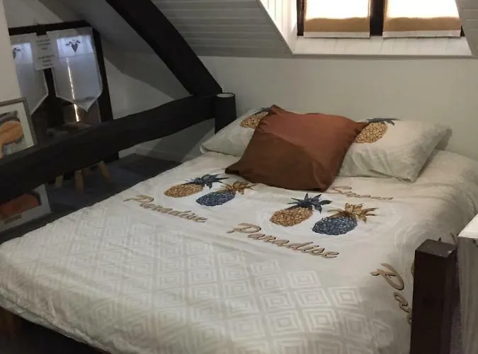 Maison Prés Du Circuit 24h Du Mans Arnage