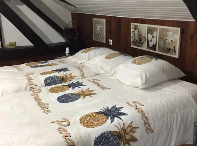 Maison Prés Du Circuit 24h Du Mans Hébergement de vacances *